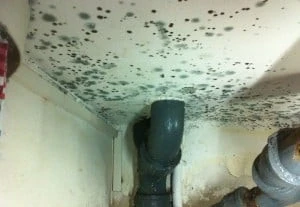 Online Schadenmeldung