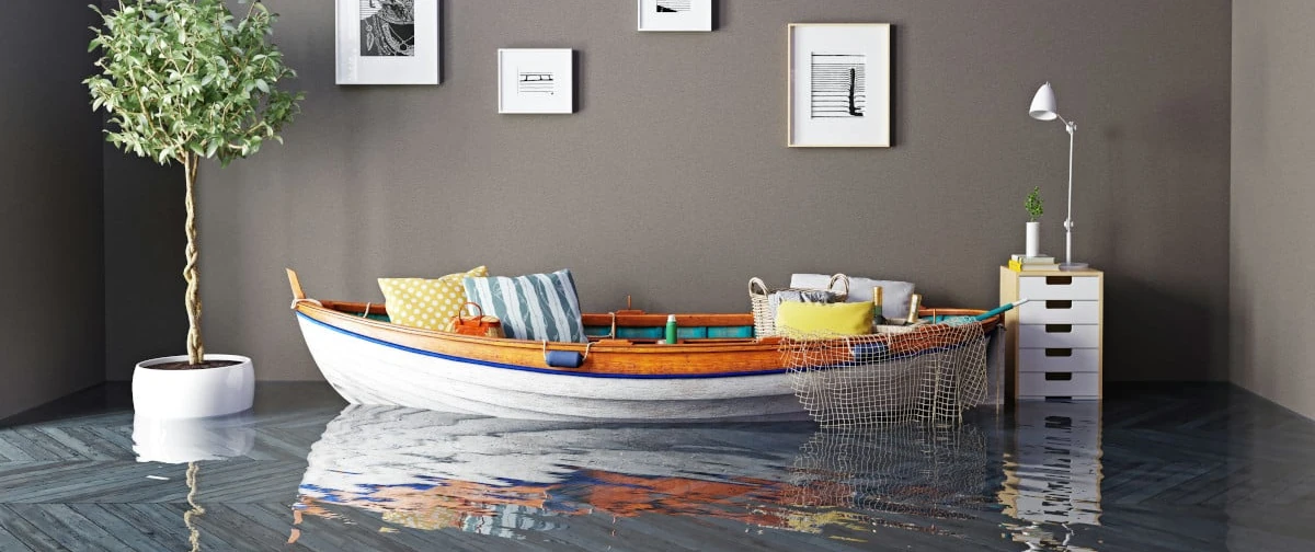 Wasserschaden Lüneburger Heide